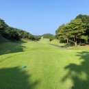 뉴그린골프연습장 이미지