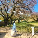 [국내여행지 원탑, 경주] 발걸음을 사로잡는 경주 필수 여행 코스 & 핫플 가볼만한 곳 (숙소.황리단길...