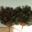 청아농장 이미지