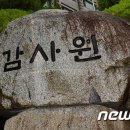 감사원 겸직 허가 없이 태양광 운영한 공무원 수사 요청 기사 이미지