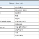 라파엘 동물병원 이미지