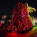 미스펌킨 | 11월 9일 에버랜드 다녀왔습니다.