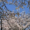 매소홀로4L 이미지