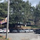 포레스트813 이미지