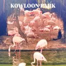 구룡공원입구 | 홍콩 구룡공원 침사추이 홍학 맥도날드 킷캣 파르페
