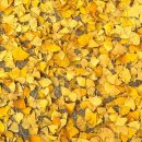 군포시청소년수련관 | 군포 산본 수영장 군포시청소년수련관 자유수영 후기 일요일 수영 가능