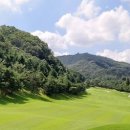 떼제베CC(대중제) 이미지