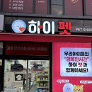 하이펫 애견샵 이미지