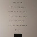 벨리나
