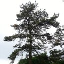부엉이PC | Solo Backpack IN 충남 아산 영인산[05/31~06/01]