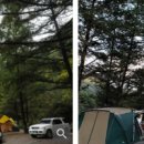 맑은계곡 이미지