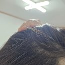 노브랜드 가성비 염색약 후기