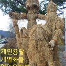개인화물33 네이버블로그