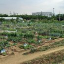 팔현농장 이미지