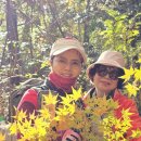 #두륜산&amp;대흥사(산들애협산) 이미지