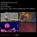 씨유안경 | 250425 콜드플레이 콘서트 후기