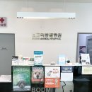 보드미동물병원 | 갈매 동물병원 : 과잉진료 안하는 보드미동물병원
