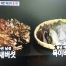 베이컨가평 이미지