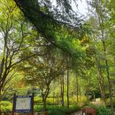 구곡폭포(문배마을) 이미지