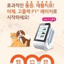 앙리동물병원 이미지