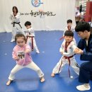 현대태권도장 이미지