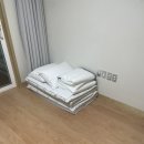 울릉푸른나무 이미지