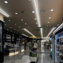 개린이집 강아지분양 고양이분양 전주본점 이미지