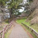 제주항식당 이미지