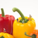 상승농장 이미지