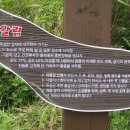 다희 민박 이미지