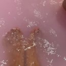 아남세탁소 | [나트랑] 더아남리조트 풀빌라 가든뷰(107호) 숙박 후기(조식/더아남버거/수영장/배달)