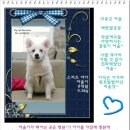 여울 - 고성군 성내로 149-15 | 여울