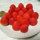새해반점 네이버블로그