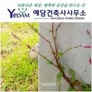 건축사사무소153
