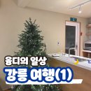 스테이아온 | 친구들과 1박 2일 강릉 여행(1)_독채 감성 숙소 스테이아온 숙박 후기