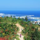 호수와 바다 이미지