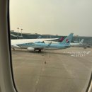 마이다이버스 | 길리에어 / 길리Air - 가는 방법, 숙소, 음식점(OK 다이버스, KOHO Air Hotel, Mama pizza, Optimiz Prime)