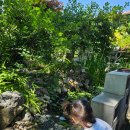 우향펜션 | 천안캠핑식당 '우향더가든' 자연속에서 바베큐먹고 힐링