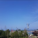 B라고마르 네이버블로그