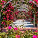 상맹방1리마을회관 이미지