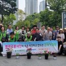 엘리의 정원 이미지