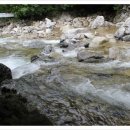 펜션 로빈나 문화마을 이미지