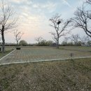 삼락오토캠핑장 | <부산 사상구 삼락오토캠핑장> 가깝다는 거 빼고 단점만 가득한 캠핑장 후기.