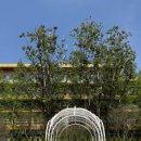 포플러하우스 | 웨딩홀 투어 서울숲② 서울숲포플러정원 | 2026 신규 무료공공 야외예식장