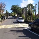 덕송민박 이미지