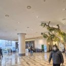 소노캄 제주 웨스트타워 | [고양]소노캄 고양 웨스트타워 숙박 후기(내돈내산, 조식, 주차)