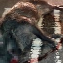 김건호농장 이미지