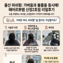 [울산 신정동 미용실] 가볍고 볼륨감 넘치는 허쉬펌 스타일링! 헤어르뽀렘 신정2호점 리얼 후기 🤍