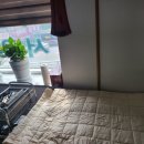 건강 지킴이 수지침 이미지