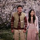 너는내운명 이미지